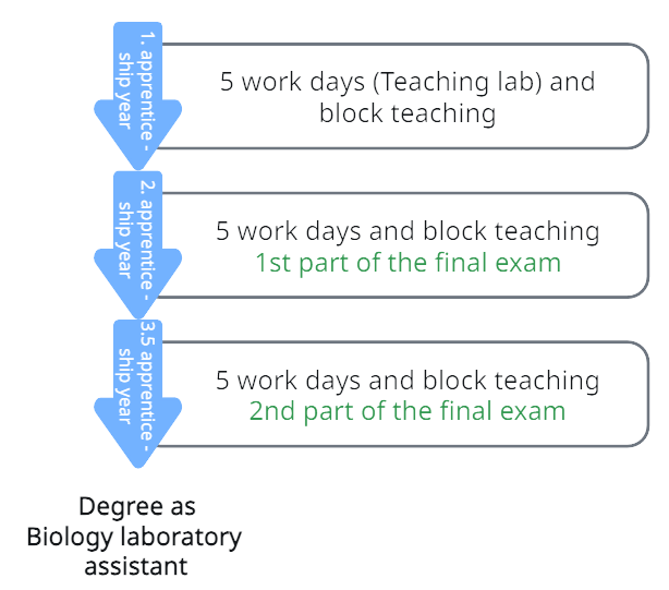 Graphic Course Training Biology laboratory assistant